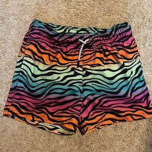 Art Class Multicolor Zebra Print Women's Shorts